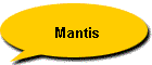 Mantis