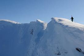 http://www.freeride.se/img/c/150_500.jpg