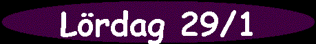 Lrdag 29/1
