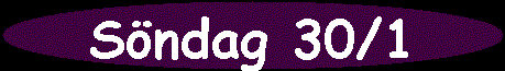 Sndag 30/1